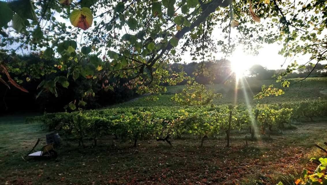 Château Régaldo-saint Blancard * Salleboeuf